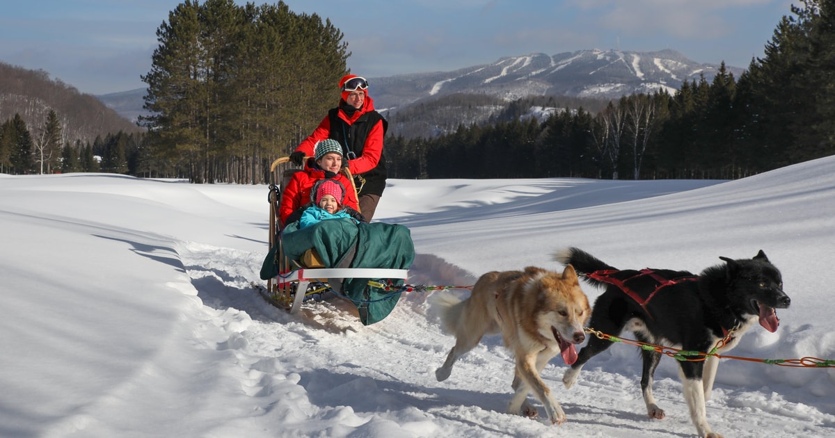 Mont-Tremblant: Guided Dogsledding Tour with Hot Chocolate