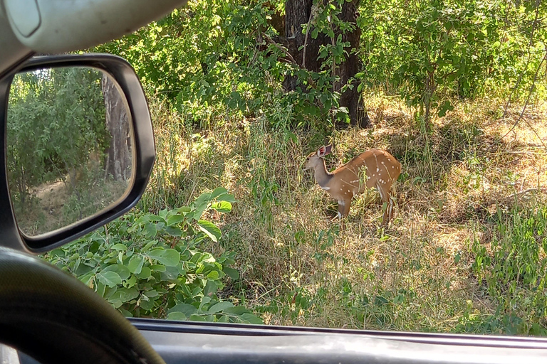 Livingstone: Mosi-oa-Tunya Park Safari and Zipline Tour