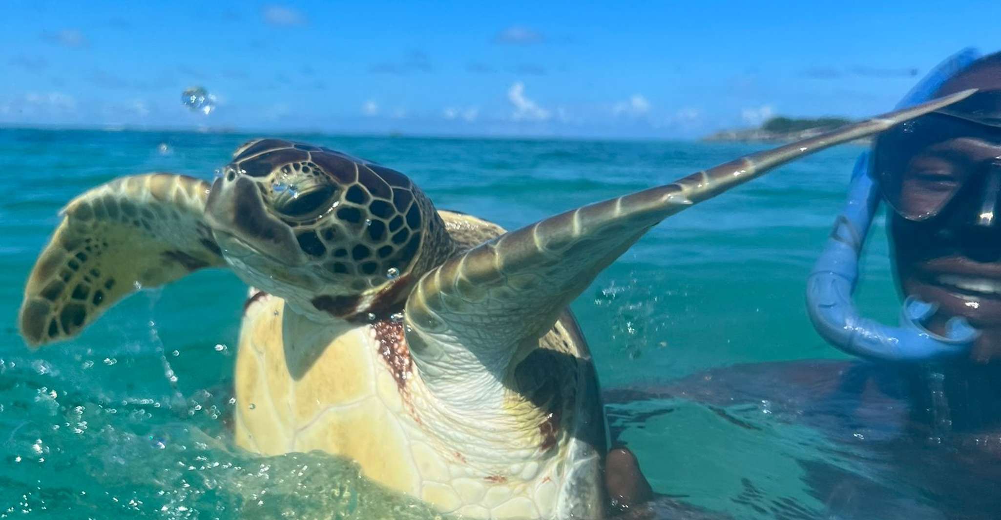 Nassau, Pig Beach, Tortues, Snorkeling des récifs et Déjeuner - Hizvo