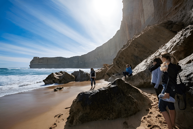 Great Ocean Road and Wildlife Day Tour