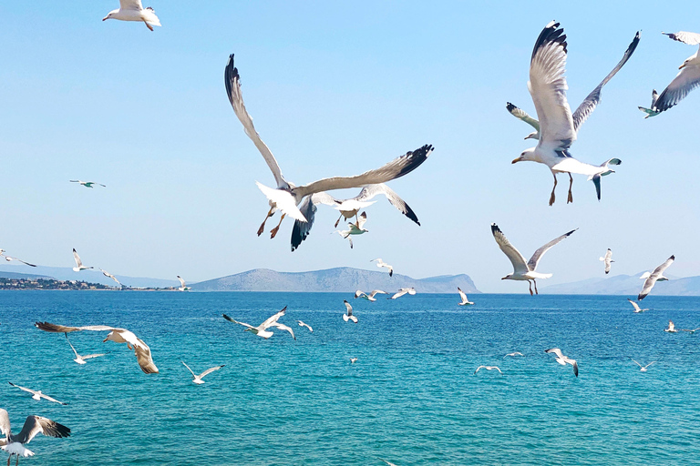 Spetses Island: Full Day Trip from Nafplio with Swimming