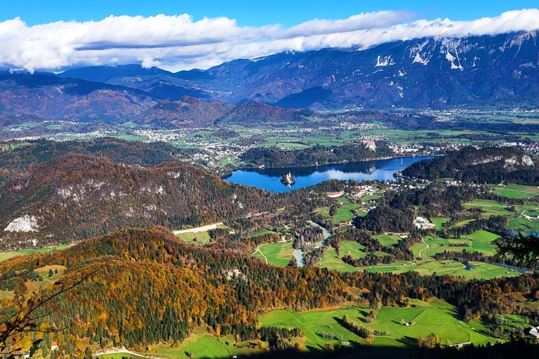 Bled: Guided E-Bike Tour to Talež Mountain Hut
