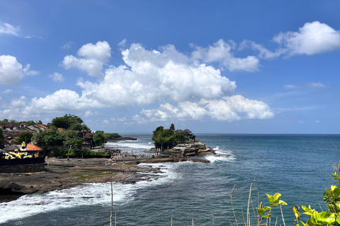 Bali: Private Ubud Highlights Tour with Customized Tour Temple, Monkey Forest, Waterfalls, & More (Without Tickets)