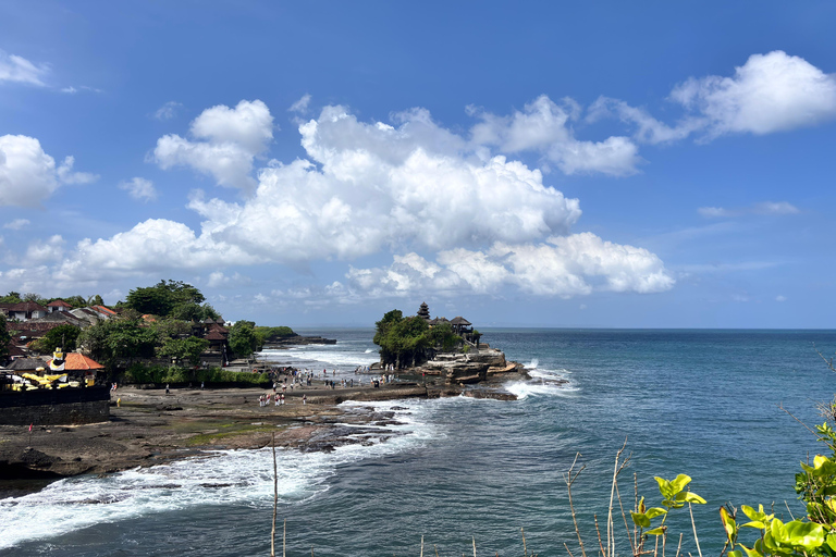 Bali: Private Ubud Highlights Tour with Customized Tour Temple, Monkey Forest, Waterfalls, & More (Without Tickets)
