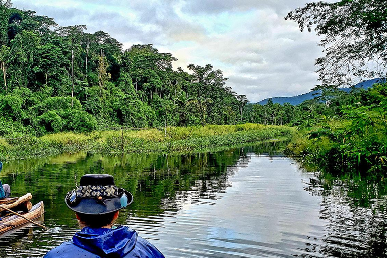 Desde Cusco: Tour Manu - Tambopata - Puerto Maldonado 8D/7N