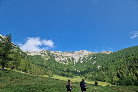 Vienna: Scenic Alpine Hiking Day Trip to Rax with Guide Vienna: Rax Mountain Hiking Tour with Guide and Transfer