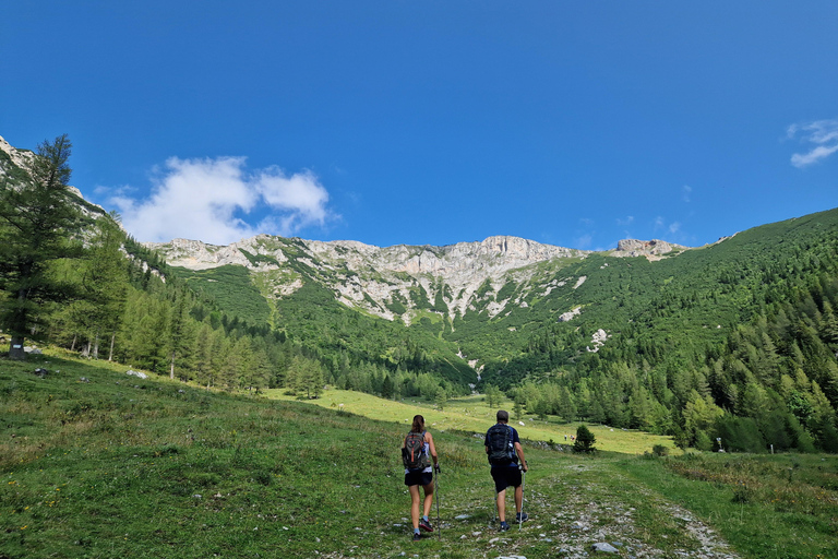 Vienna: Scenic Alpine Hiking Day Trip to Rax with Guide Vienna: Rax Mountain Hiking Tour with Guide and Transfer