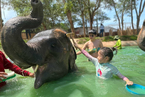 Phuket: Phuket Elephant Care Sanctuary ECO-turHotellupphämtning i Phuket