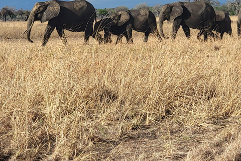 3-days 2-nights Zanzibar to Mikumi Safari wildlife-bye Boat