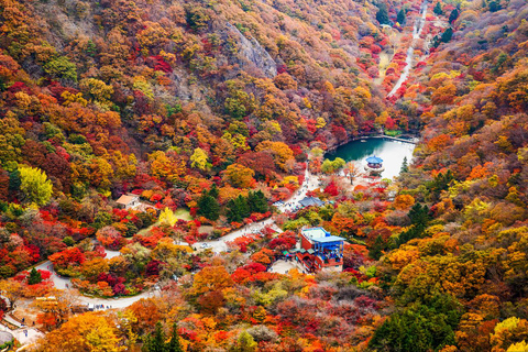 Seúl: Parque Nacional Naejangsan, tour de un día para ver el follaje otoñalVisita compartida a Naejangsan, encuentro en la estación de Myeongdong