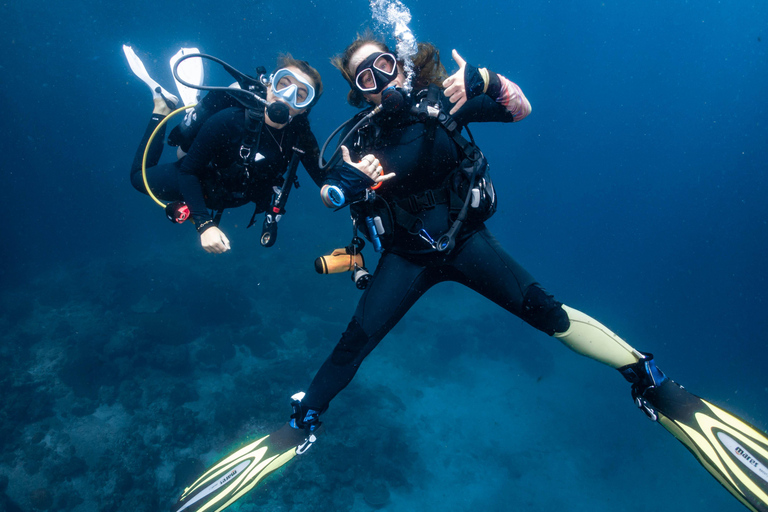 From Phi Phi: Half-Day Trip for Certified Divers (2 Dives) Afternoon Diving for Certified Divers (2 Dives)