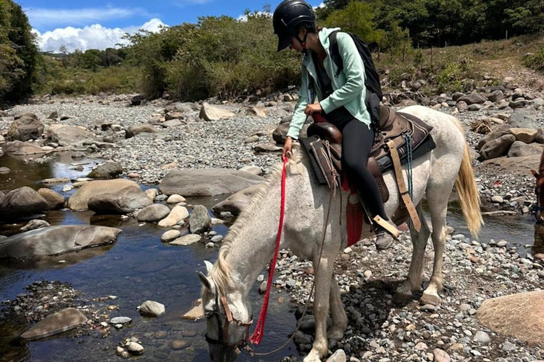 Horseback Ride + Contact Farm in Boquete 2 hours