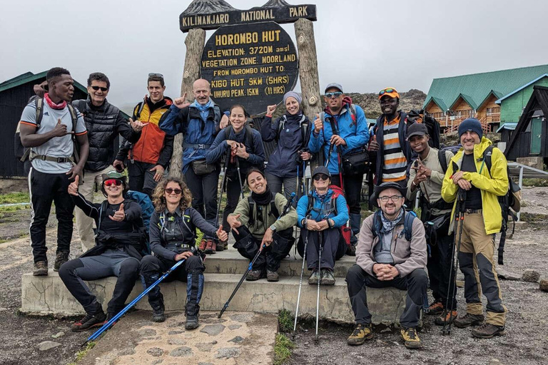 1-tägige Kilimanjaro-Wanderung über die Machame Route AbenteuerPerfekte 1-Tages-Kilimanjaro-Wanderung über die Machame-Route