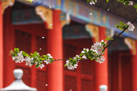 Beijing: Forbidden City and Summer Palace Private Tour