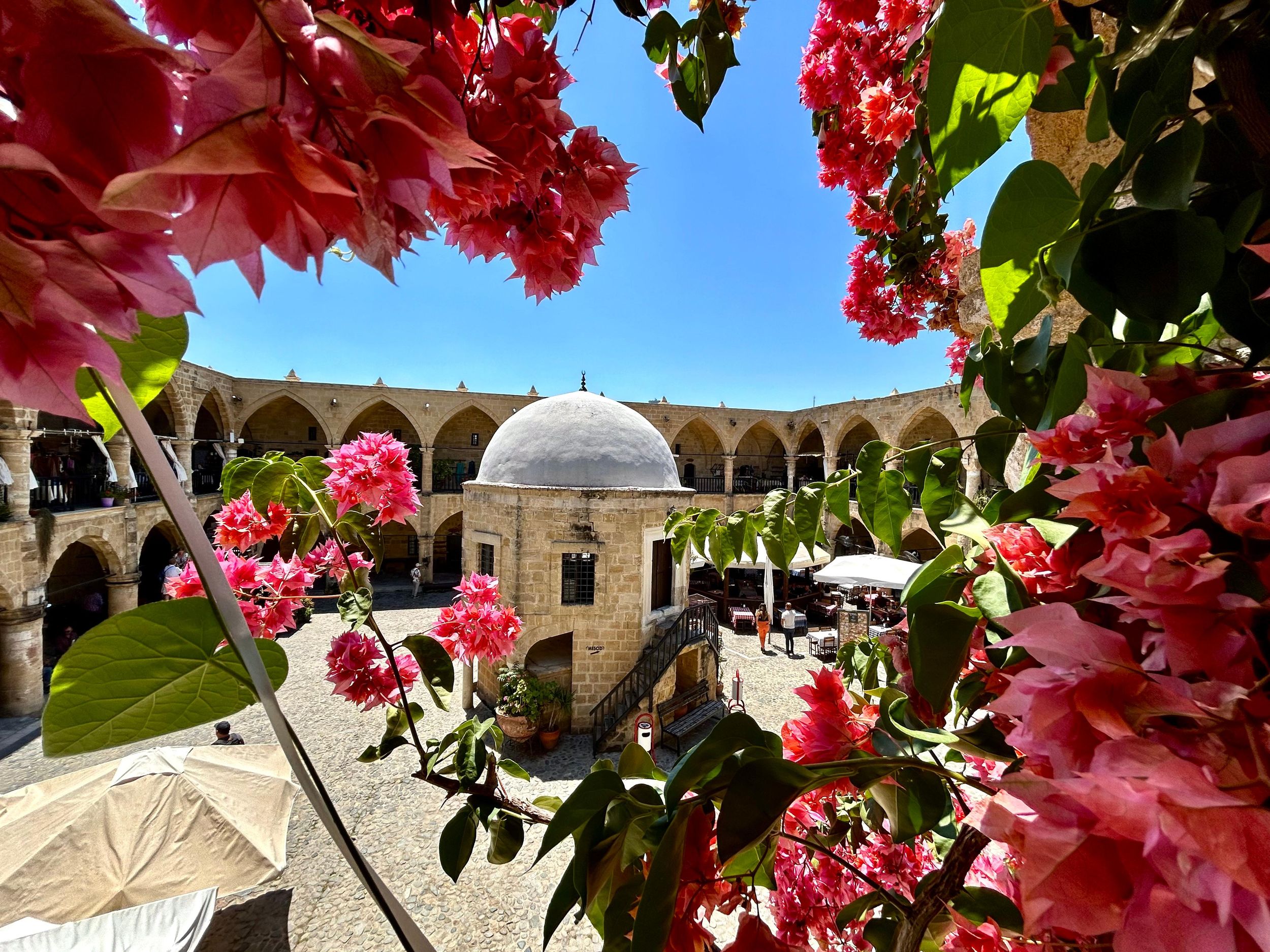 Nikosia: Private Tour auf beiden Seiten & Überquerung der Grünen Linie