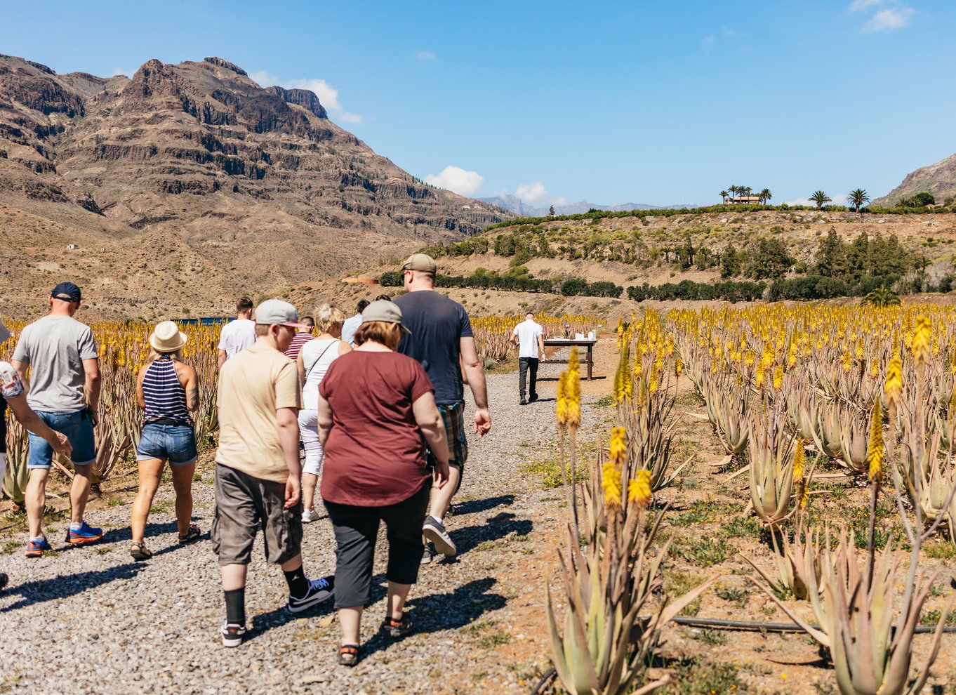 Sydlige Gran Canaria: Offroad-tur i dale og landsbyer med jeep