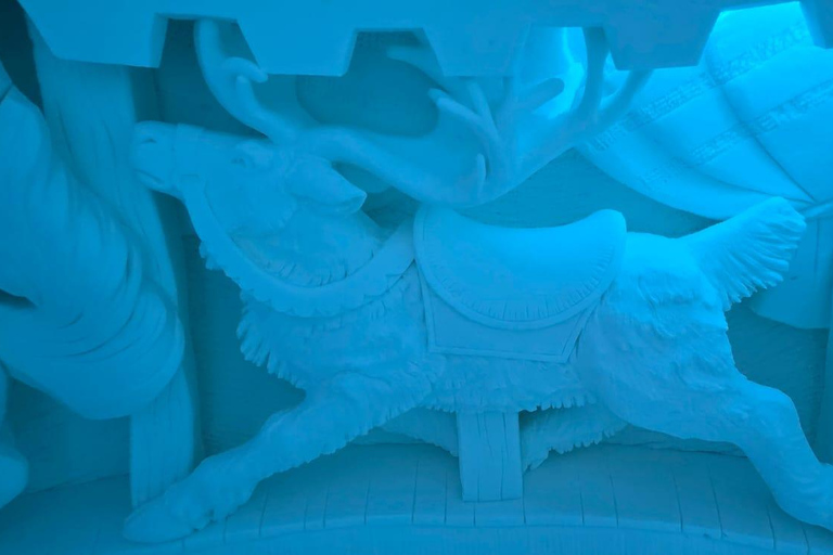 Levi: Private Snow Village tour. Northern lights possibility