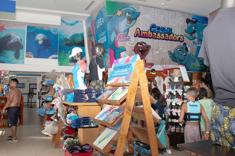 Cancún: Isla Mujeres Dolphin Swim with Ferry & Buffet Swim with Dolphins at Isla Mujeres Encounter