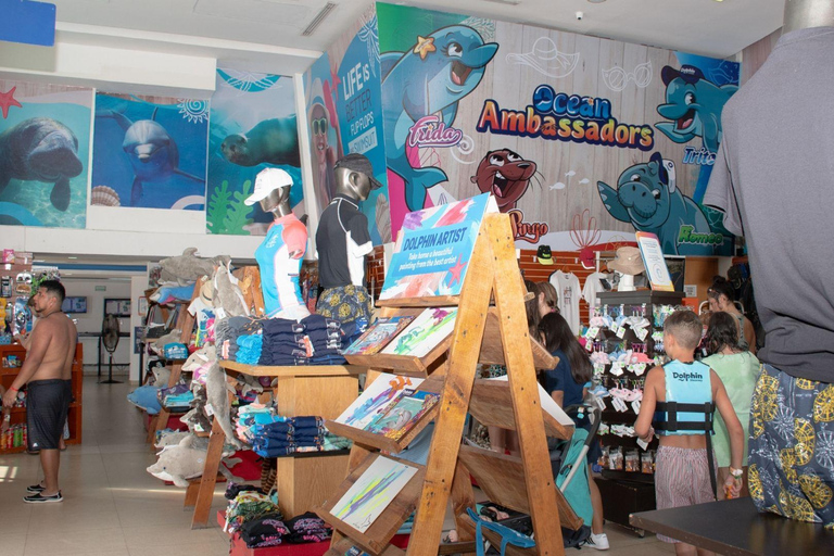 Cancún: Isla Mujeres Dolphin Swim with Ferry & Buffet Swim with Dolphins at Isla Mujeres Encounter