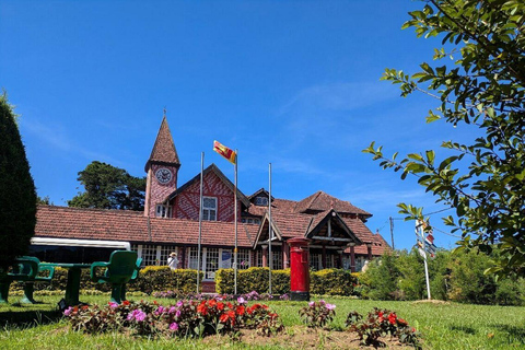 Kandy: Nuwara Eliya and Ambewela Train Station Tour