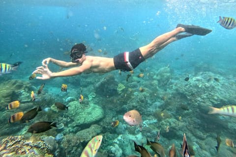 Sharing Snorkeling to Manta Point Nusa Penida & Boat Ticket
