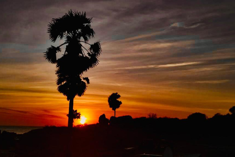 Arugam Bay: Jungle BBQ Experience with Hotel Pickup