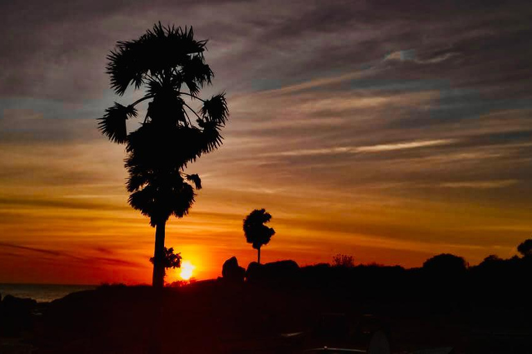 Arugam Bay: Jungle BBQ Experience with Hotel Pickup