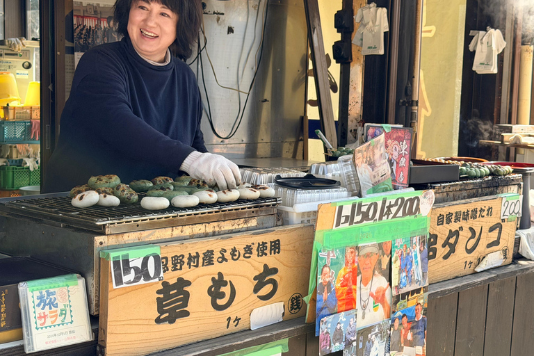 Tokyo: Private Daytrip to Mount Fuji - Fully Customizable Mt Fuji Private Luxury Van Tour (Customizable Experience)