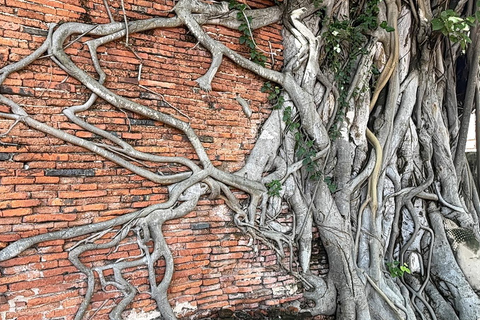 Ayutthaya: Join Temple Tour – Choose a Time Slot