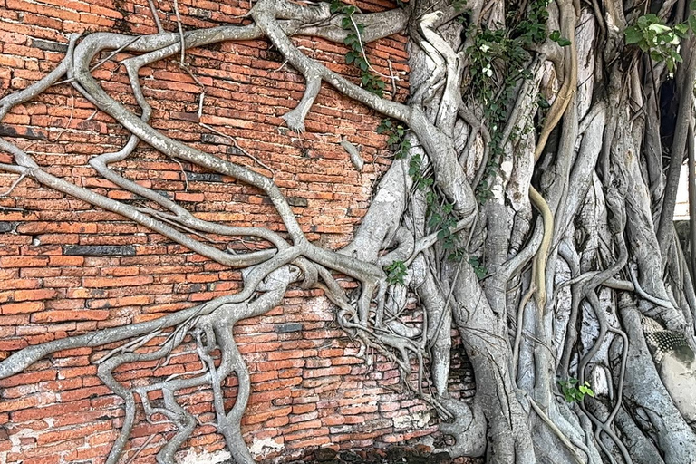 Ayutthaya: Join Temple Tour – Choose a Time Slot