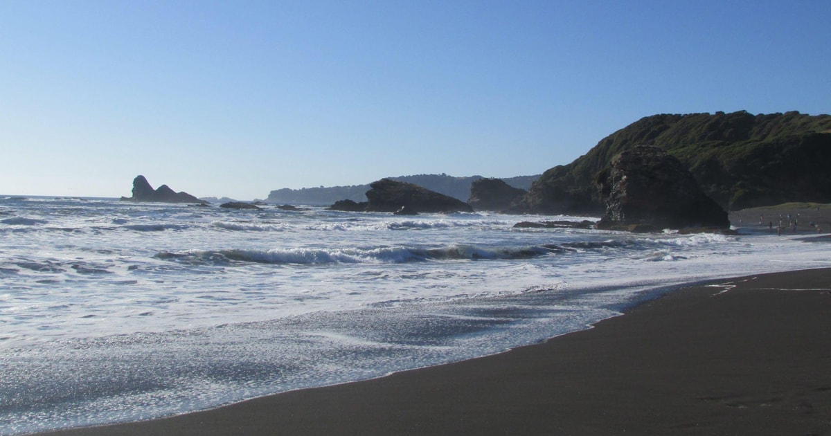 Tour around the Biobio River Estuary and Pedro del Rio Park | GetYourGuide