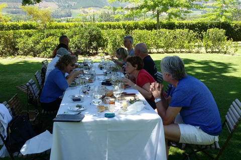 Kapstadt: Tafelberg und stellenbosch Big Cats Park