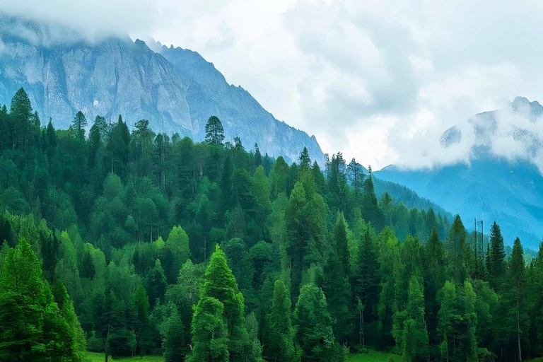 Chengdu, Sichuan：Mount Qingcheng Entry Ticket with Passport