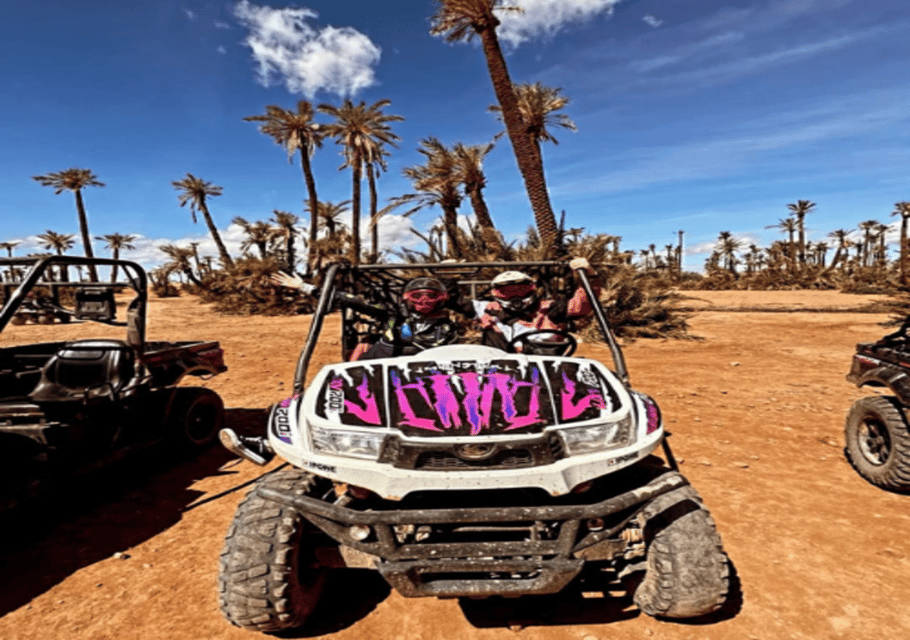 Marrakesh Buggy Ervaring In Palmeraie Met Hotelovername Getyourguide