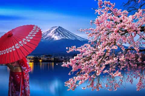 Mont Fuji et outlet onsen : excursion privée en voiture depuis Tokyo