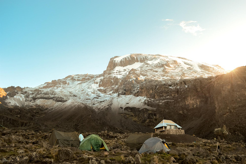 Mount Kilimanjaro Safe &amp; Luxury Climb:, 7days Lemosho route