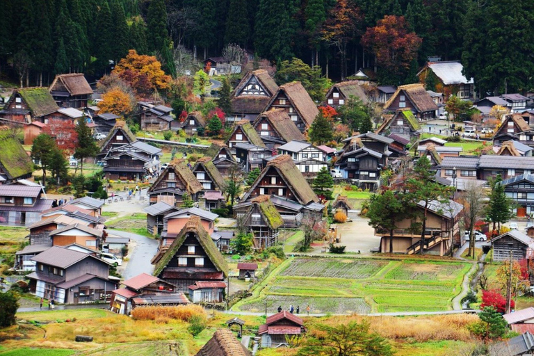 Da Osaka/Kyoto: Escursione di un giorno a Shirakawa-go, TakaYama e Kanazawa