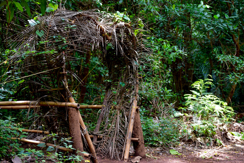 Moshi: Rau-Wald (Wanderung oder Radtour)Wandern im Rau-Wald