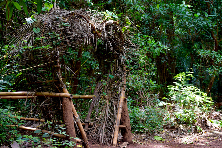 Moshi: Rau-Wald (Wanderung oder Radtour)Wandern im Rau-Wald