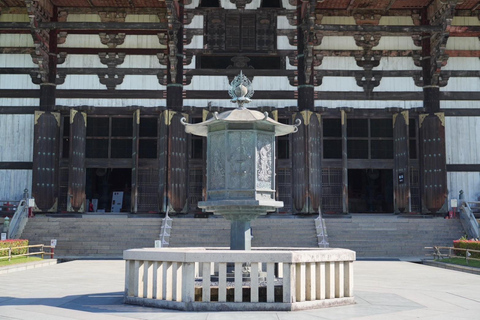 Tour por Kioto y Nara con Fushimi Inari y el parque de los ciervos