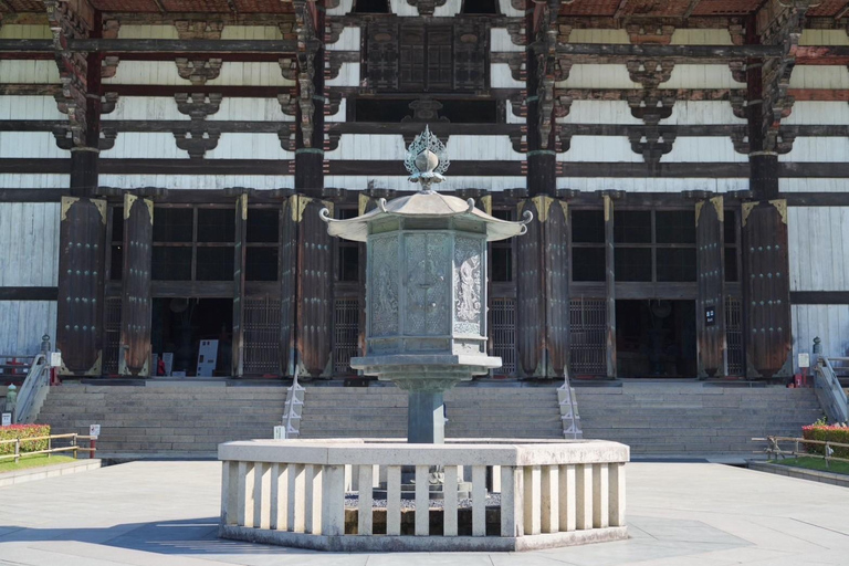 Tour por Kioto y Nara con Fushimi Inari y el parque de los ciervos