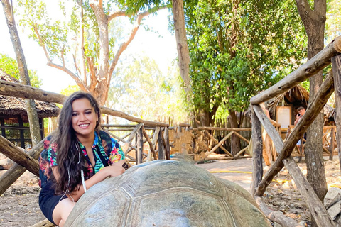 Ciudad de piedra y prisión Isla
