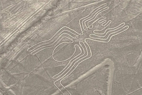 Sobrevuela las Líneas de Nazca: tour privado de día completo desde Lima.