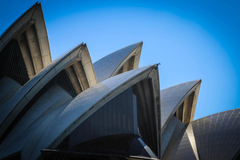 Sydney: Harbour Highlights Catamaran CruiseSydney Harbour Highlights Catamaran Cruise