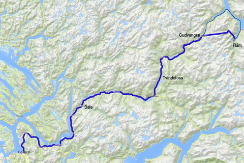 Bergen: Viking Village, Nærøyfjord & Flåm Day Trip