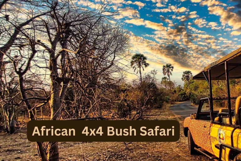 Wodospady Wiktorii: Afrykańskie safari 4x4 w buszuPrywatna wycieczka