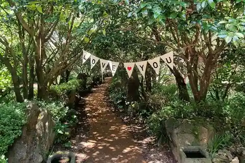 Ovest e sud di Jeju: percorso di Hallasan, cascata e campo da tè