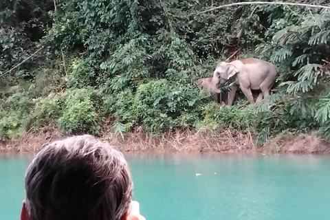 Phuket or Anywhere: 2-Days Cheow Lan Lake & Raft-Resort-FAN Option 1: From KhaoLak+KhaoSok with Roundtrip Hotel Transfer