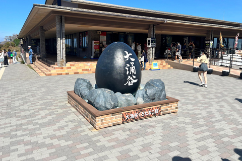 Från Tokyo: Fuji-berget eller Hakone Sightseeing Privat dagstur