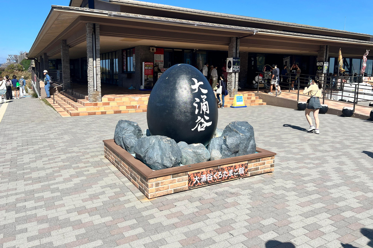 Från Tokyo: Fuji-berget eller Hakone Sightseeing Privat dagstur